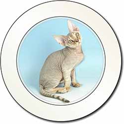 Devon Rex Kitten Cat Car or Van Permit Holder/Tax Disc Holder