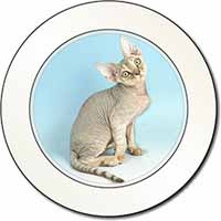 Devon Rex Kitten Cat Car or Van Permit Holder/Tax Disc Holder