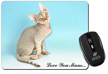 Devon Rex Kitten 