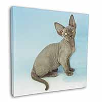 Blue Grey Devon Rex Kitten Cat Square Canvas 12"x12" Wall Art Picture Print