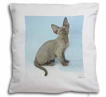 Blue Grey Devon Rex Kitten Cat Soft White Velvet Feel Scatter Cushion