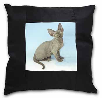 Blue Grey Devon Rex Kitten Cat Black Satin Feel Scatter Cushion
