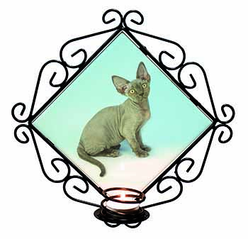 Blue Grey Devon Rex Kitten Cat Wrought Iron Wall Art Candle Holder