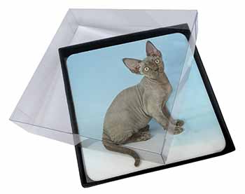 4x Blue Grey Devon Rex Kitten Cat Picture Table Coasters Set in Gift Box