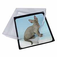 4x Blue Grey Devon Rex Kitten Cat Picture Table Coasters Set in Gift Box