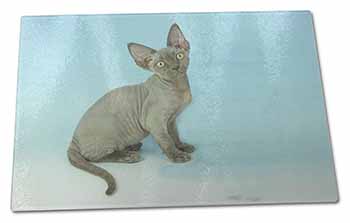 Large Glass Cutting Chopping Board Blue Grey Devon Rex Kitten Cat