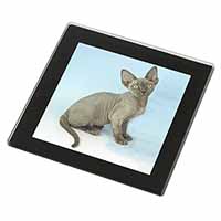 Blue Grey Devon Rex Kitten Cat Black Rim High Quality Glass Coaster