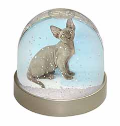 Blue Grey Devon Rex Kitten Cat Snow Globe Photo Waterball