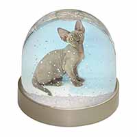Blue Grey Devon Rex Kitten Cat Snow Globe Photo Waterball