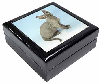 Blue Grey Devon Rex Kitten Cat Keepsake/Jewellery Box
