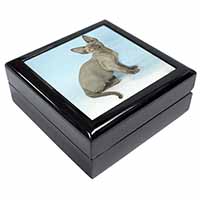 Blue Grey Devon Rex Kitten Cat Keepsake/Jewellery Box