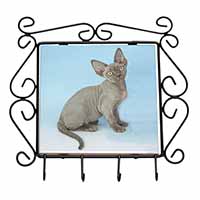 Blue Grey Devon Rex Kitten Cat Wrought Iron Key Holder Hooks