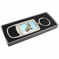 Blue Grey Devon Rex Kitten Cat Chrome Metal Bottle Opener Keyring in Box