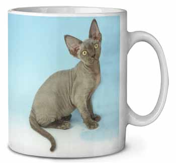 Blue Grey Devon Rex Kitten Cat Ceramic 10oz Coffee Mug/Tea Cup