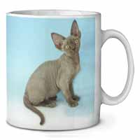 Blue Grey Devon Rex Kitten Cat Ceramic 10oz Coffee Mug/Tea Cup