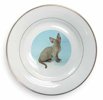 Blue Grey Devon Rex Kitten Cat Gold Rim Plate Printed Full Colour in Gift Box