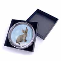 Blue Grey Devon Rex Kitten Cat Glass Paperweight in Gift Box