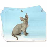 Blue Grey Devon Rex Kitten Cat Picture Placemats in Gift Box