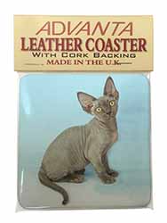 Blue Grey Devon Rex Kitten Cat Single Leather Photo Coaster