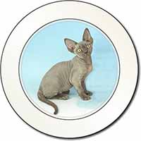 Blue Grey Devon Rex Kitten Cat Car or Van Permit Holder/Tax Disc Holder