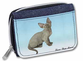 Devon Rex Kitten 