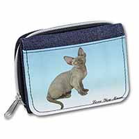 Devon Rex Kitten 