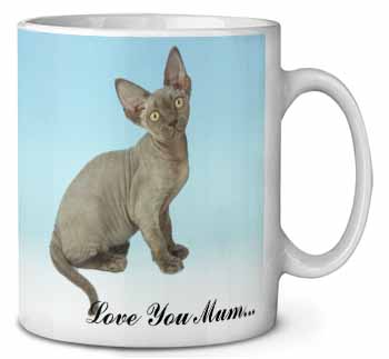 Devon Rex Kitten 