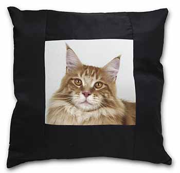 Pretty Face of a Ginger Cat Black Satin Feel Scatter Cushion