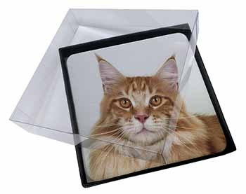 4x Pretty Face of a Ginger Cat Picture Table Coasters Set in Gift Box