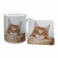 Pretty Face of a Ginger Cat Mug and Coaster Set