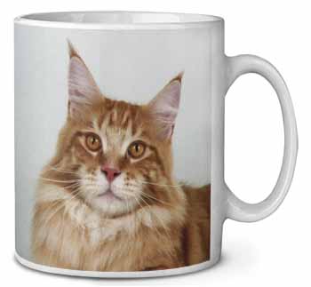 Pretty Face of a Ginger Cat Ceramic 10oz Coffee Mug/Tea Cup