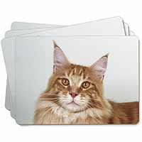 Pretty Face of a Ginger Cat Picture Placemats in Gift Box