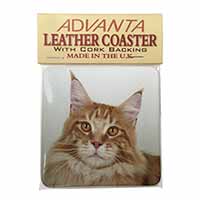 Pretty Face of a Ginger Cat Single Leather Photo Coaster