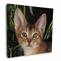 Face of an Abyssynian Cat Square Canvas 12"x12" Wall Art Picture Print