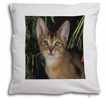 Face of an Abyssynian Cat Soft White Velvet Feel Scatter Cushion