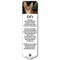 Face of an Abyssynian Cat Bookmark, Book mark, Printed full colour
