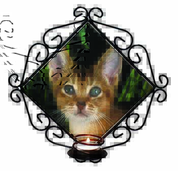 Face of an Abyssynian Cat Wrought Iron Wall Art Candle Holder