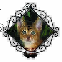 Face of an Abyssynian Cat Wrought Iron Wall Art Candle Holder