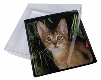 4x Face of an Abyssynian Cat Picture Table Coasters Set in Gift Box