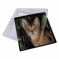 4x Face of an Abyssynian Cat Picture Table Coasters Set in Gift Box