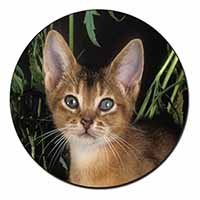Face of an Abyssynian Cat Fridge Magnet Printed Full Colour