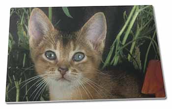 Large Glass Cutting Chopping Board Face of an Abyssynian Cat