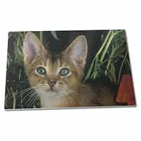 Large Glass Cutting Chopping Board Face of an Abyssynian Cat