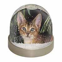 Face of an Abyssynian Cat Snow Globe Photo Waterball