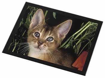 Face of an Abyssynian Cat Black Rim High Quality Glass Placemat