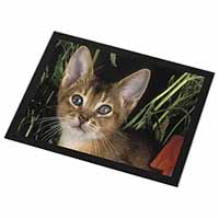 Face of an Abyssynian Cat Black Rim High Quality Glass Placemat