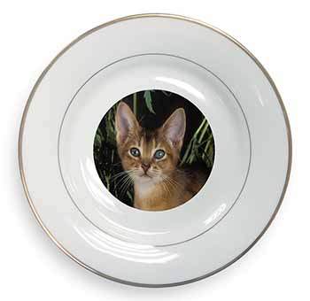 Face of an Abyssynian Cat Gold Rim Plate Printed Full Colour in Gift Box