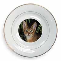 Face of an Abyssynian Cat Gold Rim Plate Printed Full Colour in Gift Box