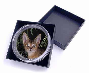 Face of an Abyssynian Cat Glass Paperweight in Gift Box