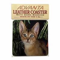 Face of an Abyssynian Cat Single Leather Photo Coaster, Printed Full Colour  - A